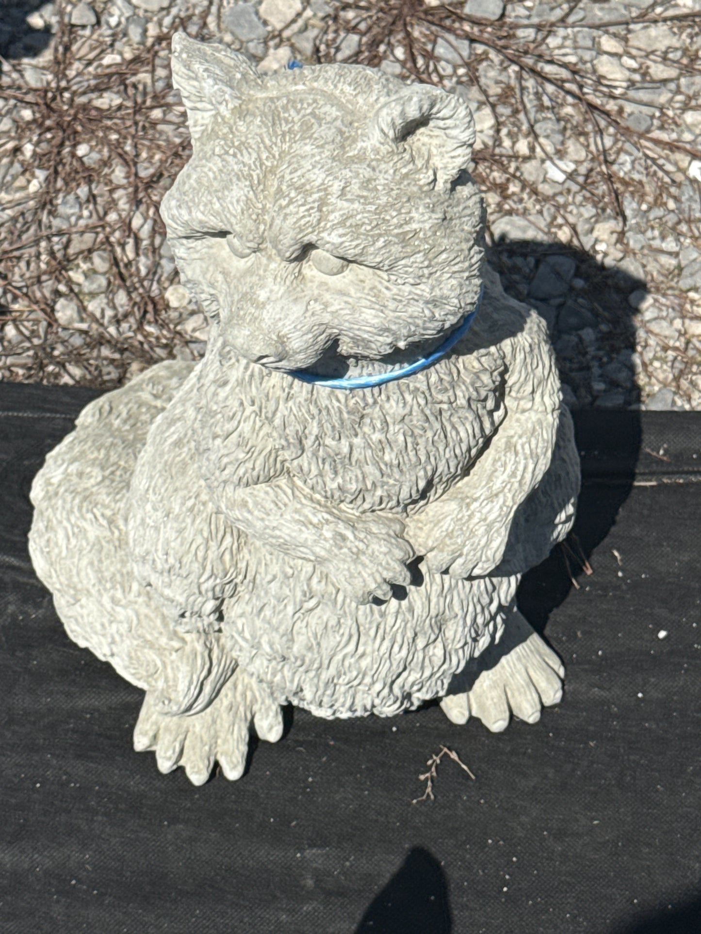 Raccoon - Standing Lg