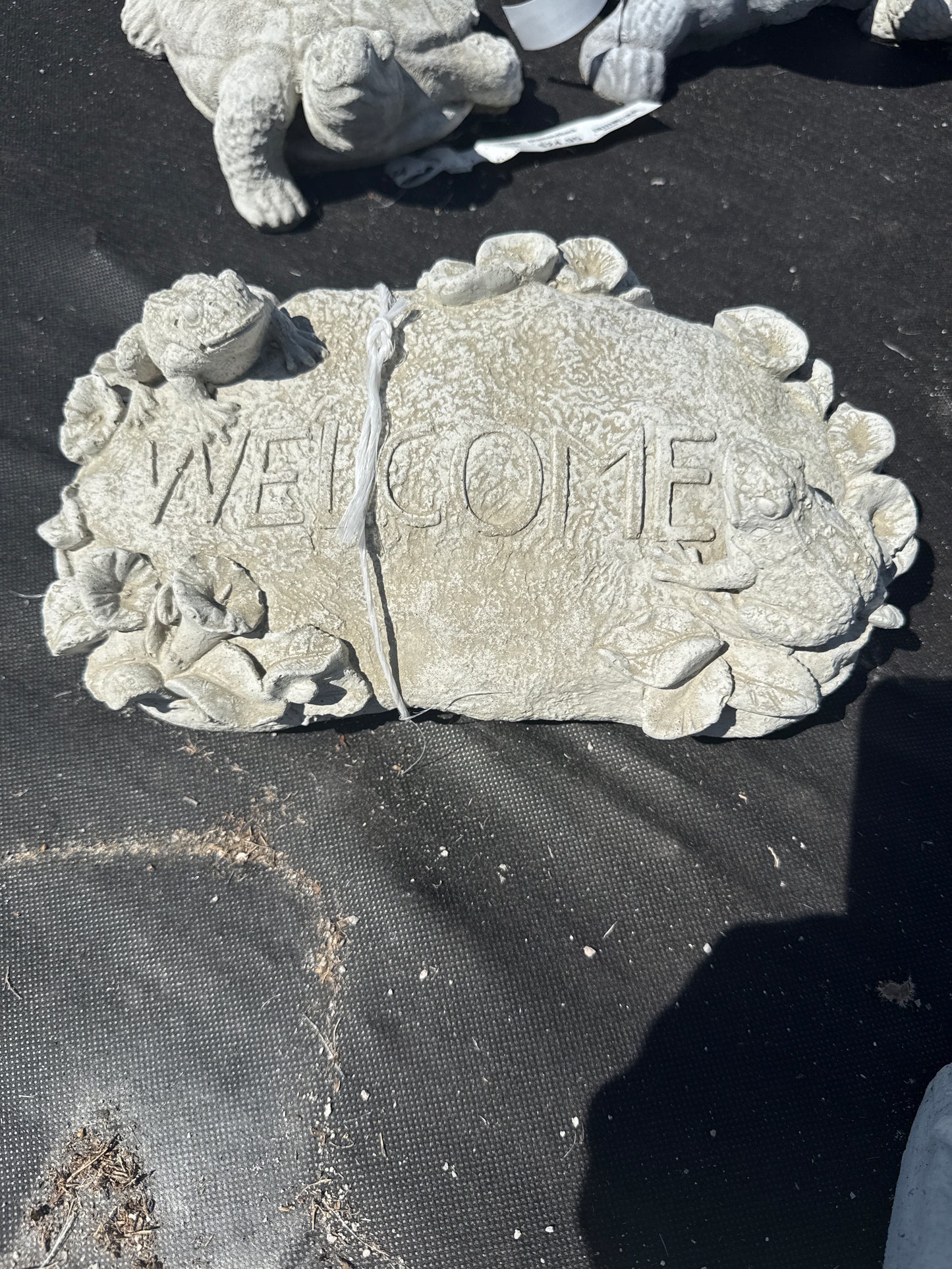 Rock - Toad Welcome Rock