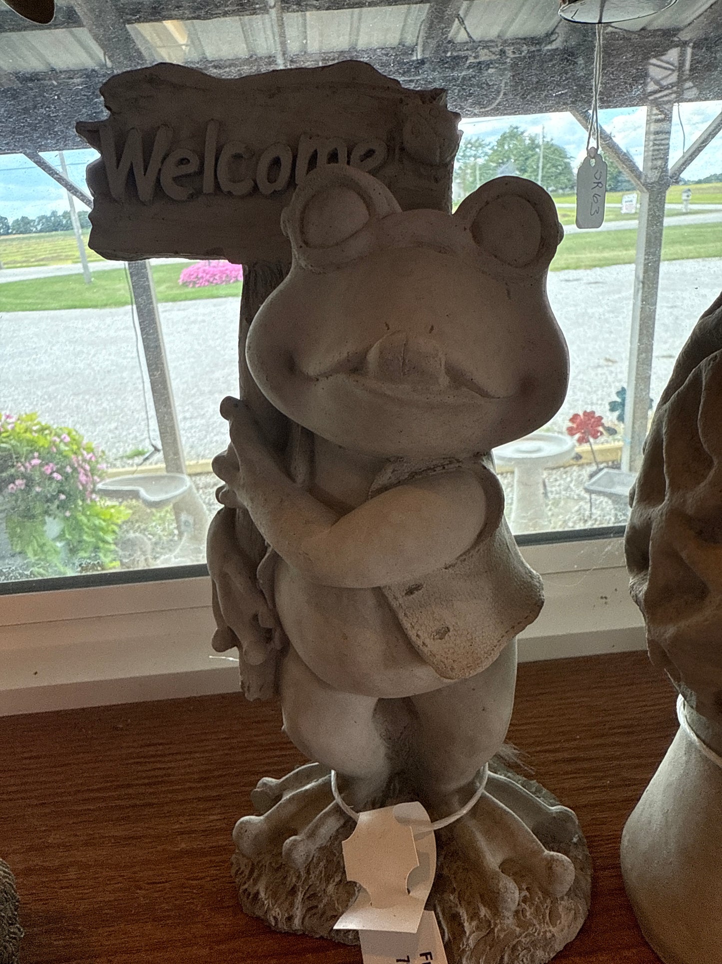 Frog - Holding Welcome Sign