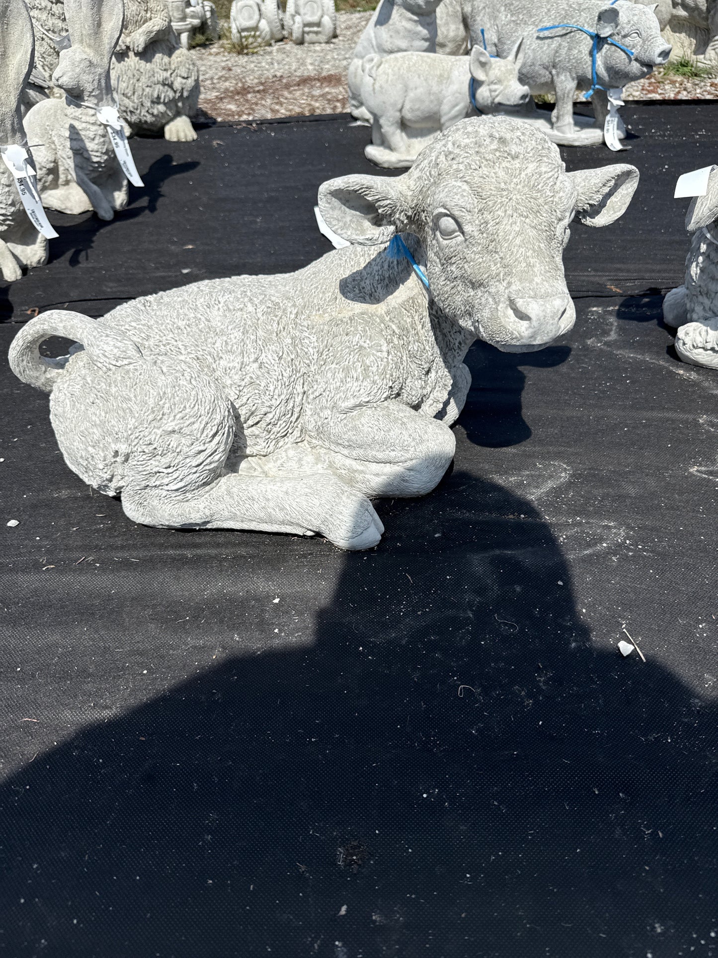 Cow - Laying Calf Detailed