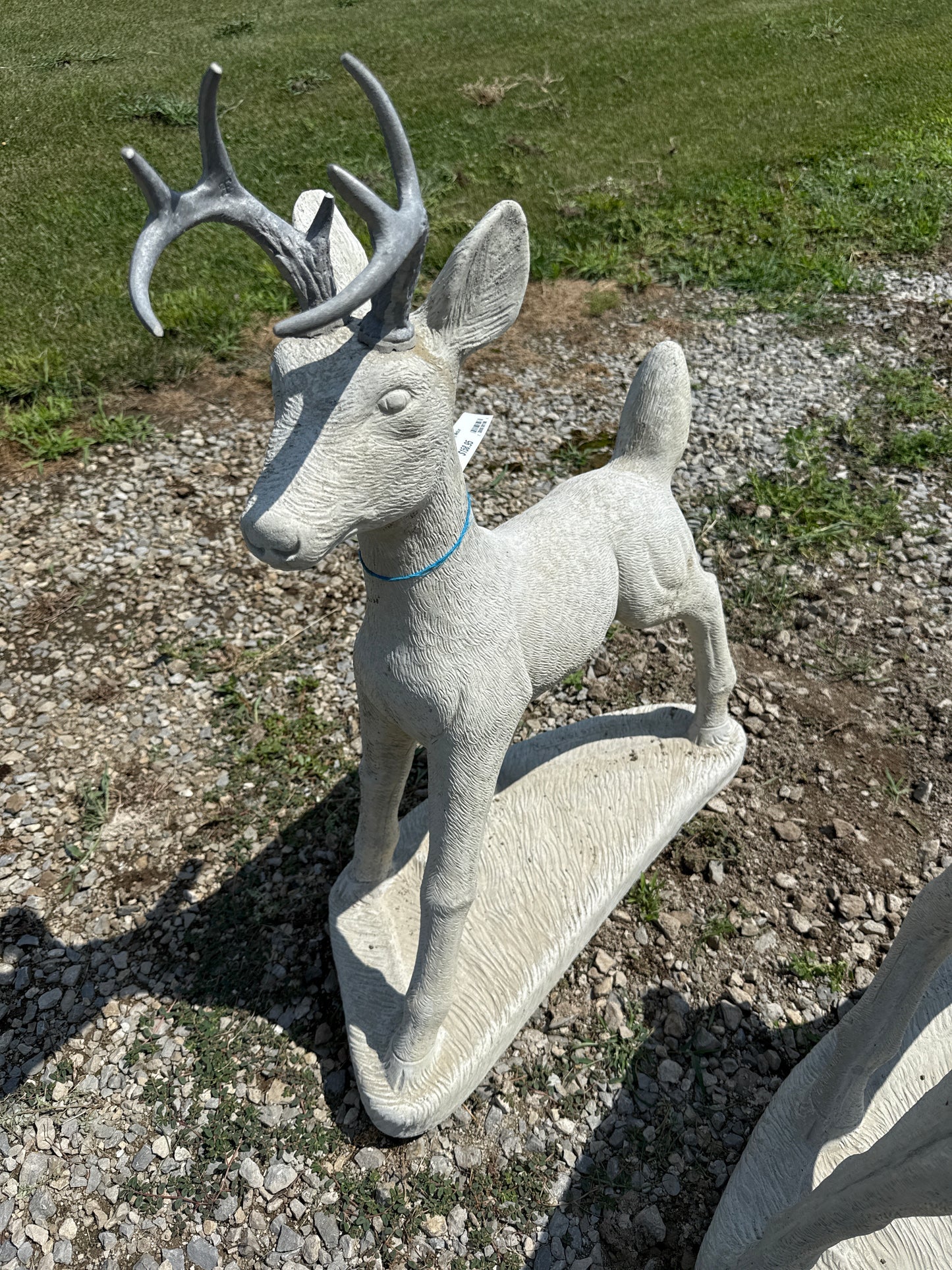 Deer - Buck Standing Medium