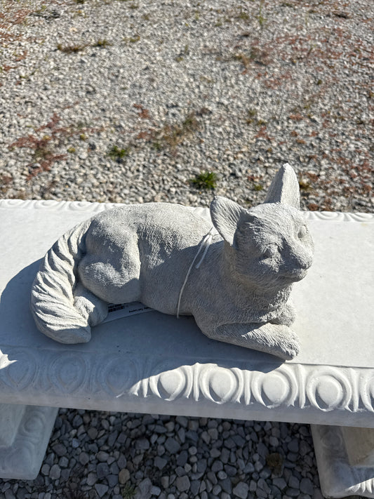 Cat - Bushy Tail Laying