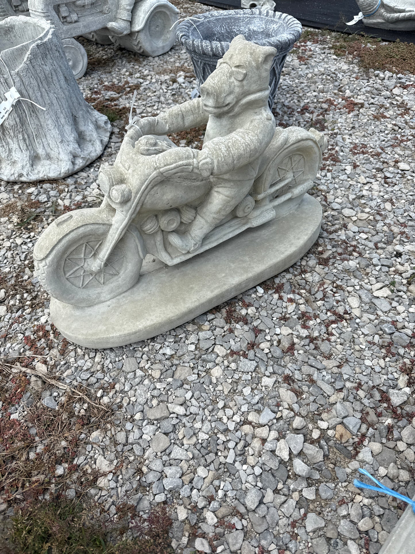 Pig - Hog Riding Motorcycle