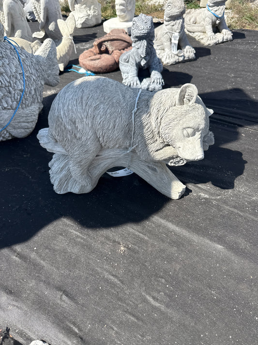 Bear - Sleeping