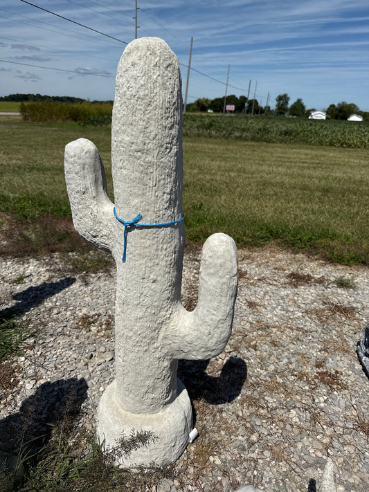 Cactus - Lg