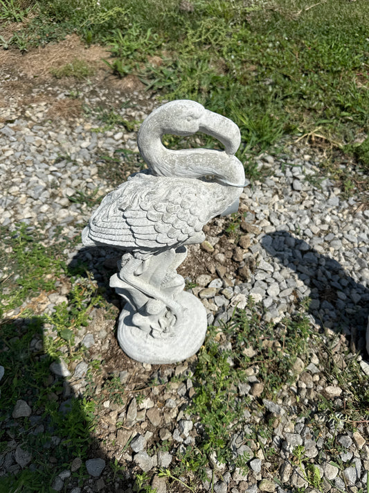 Bird - Flamingo