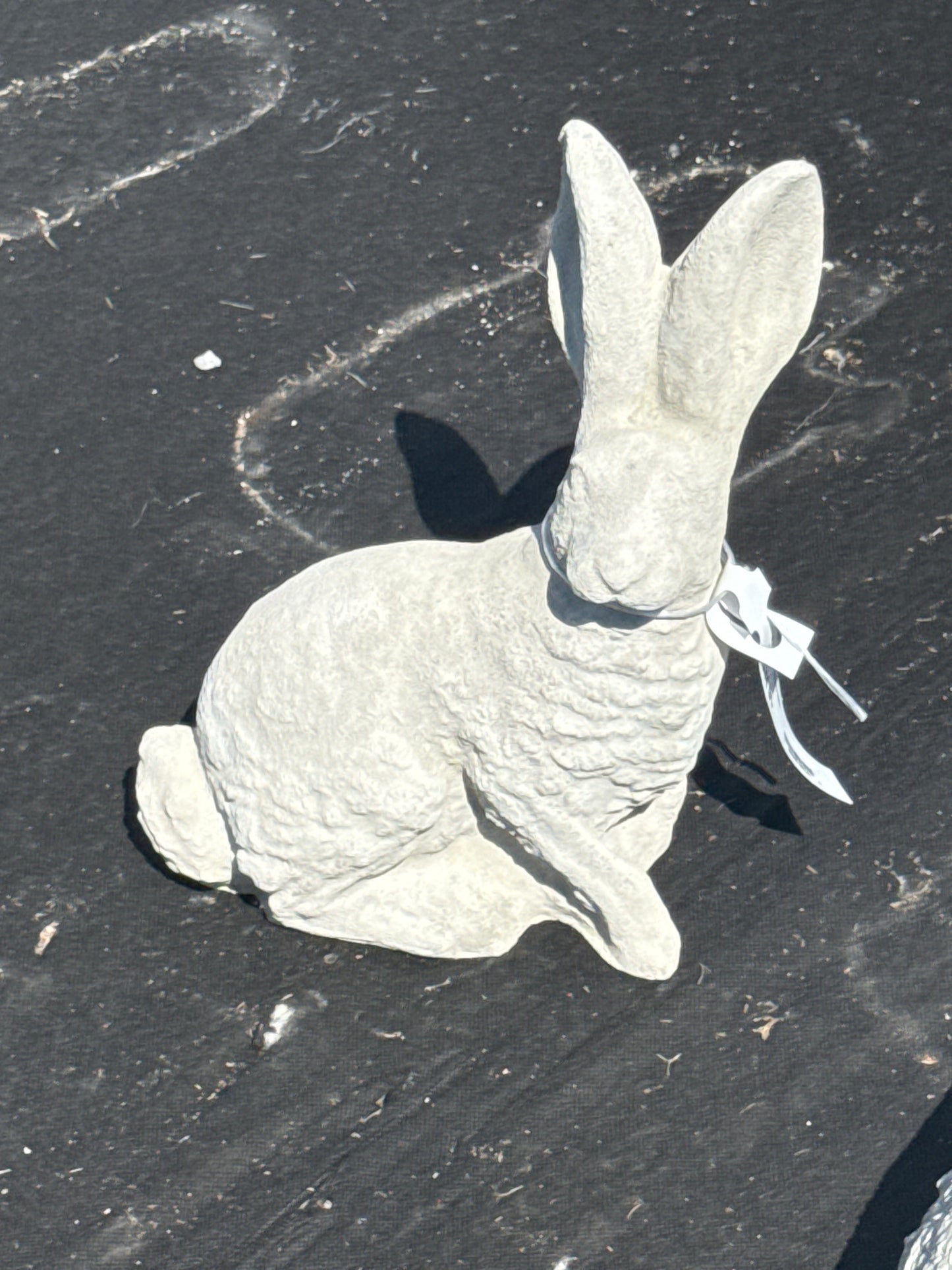 Rabbit - Sitting Classic