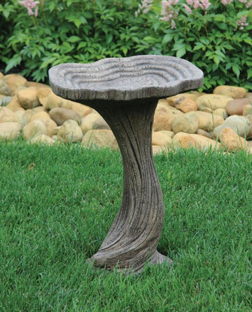 One Piece Driftwood Bird Bath 22"