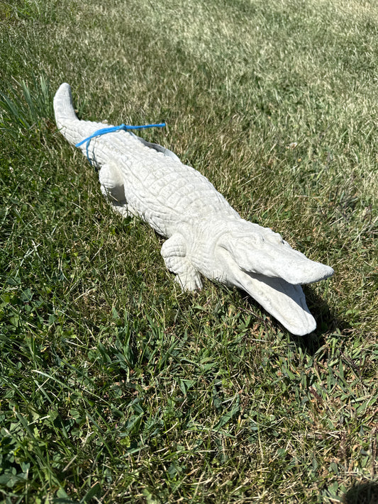 Alligator - Sm