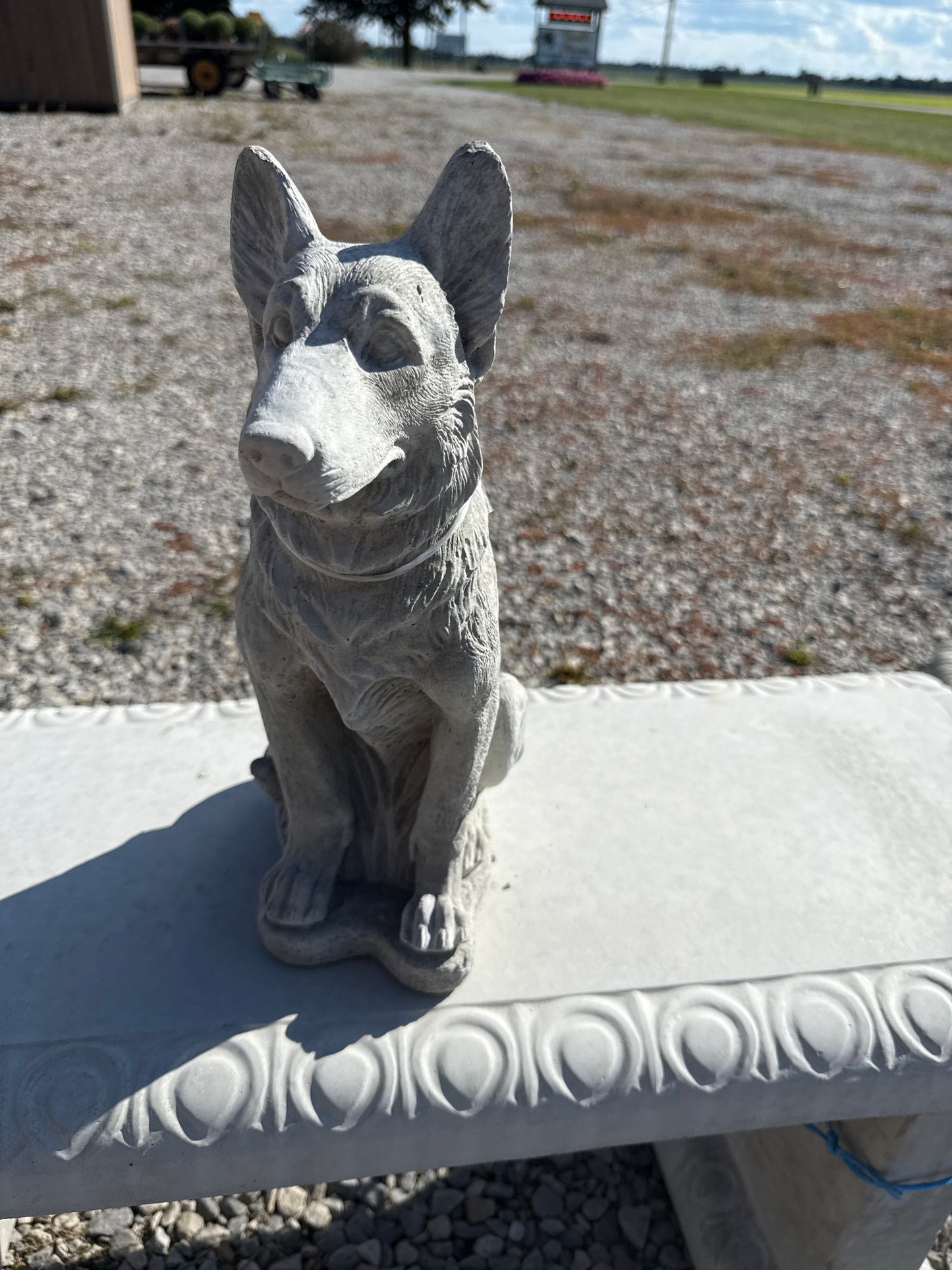 Dog - German Shepherd Sitting Small