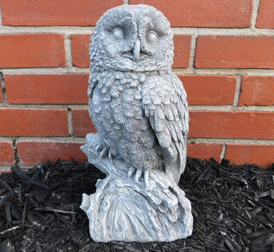 Barn Owl