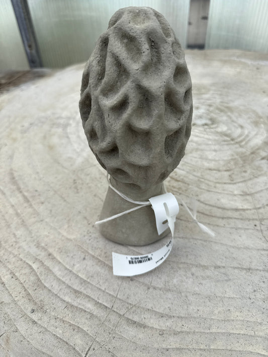 Mushroom - Small Morel