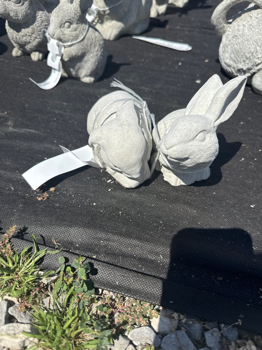 Rabbit - Bunny Buddy Pair