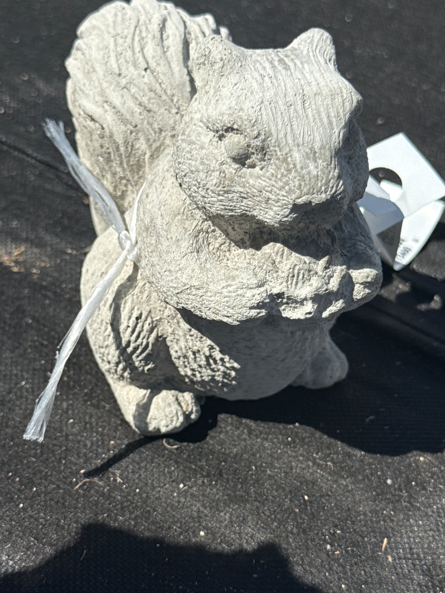 Squirrel - Small Detailed