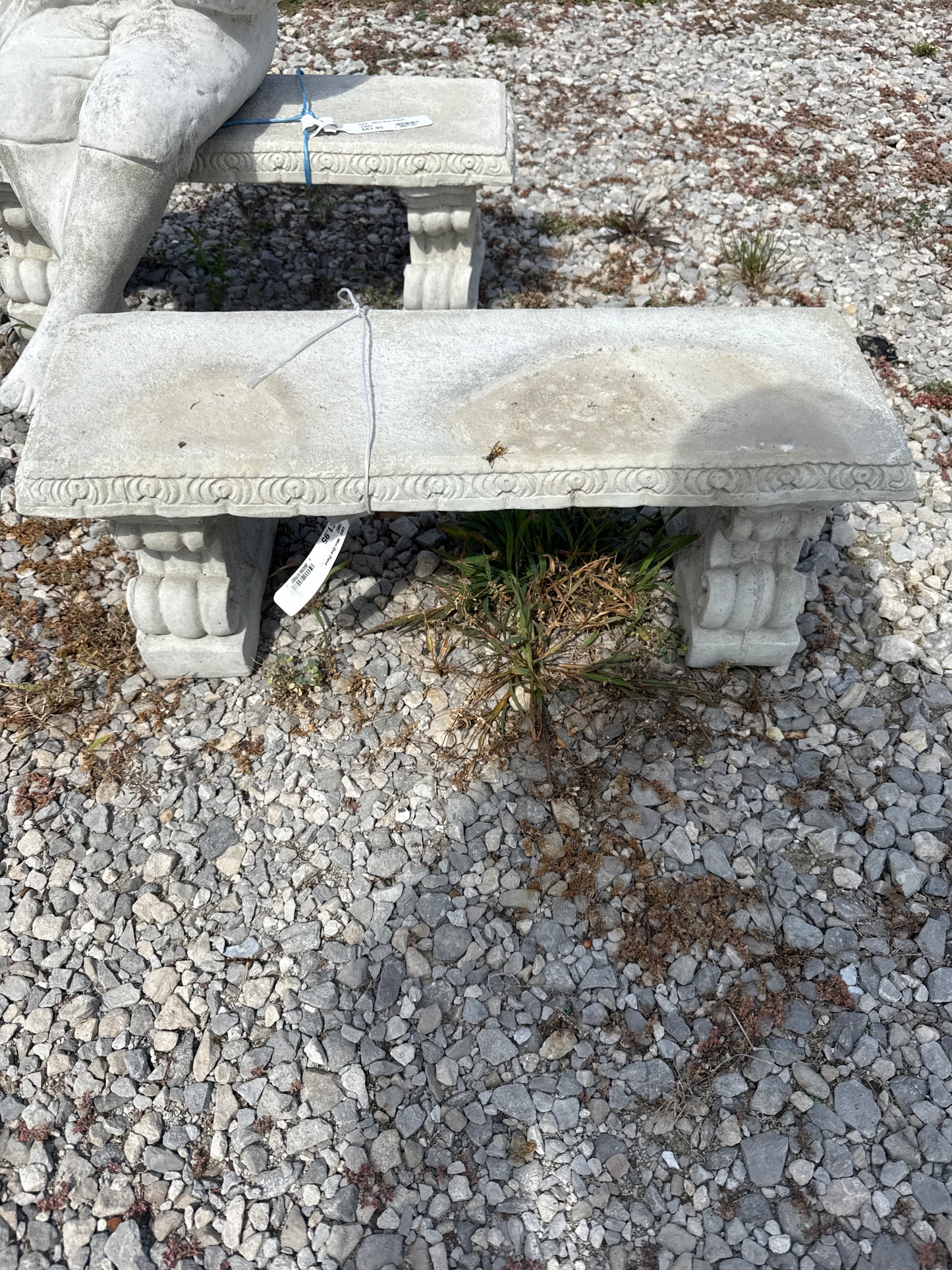 GBS - Mini One Piece