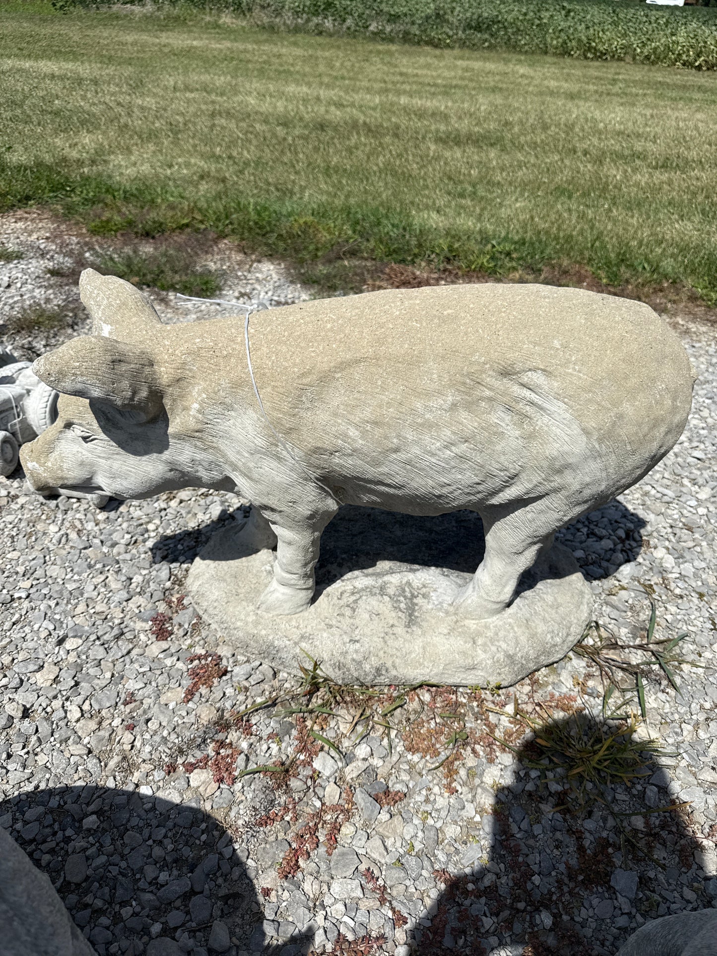 Pig - Standing Extra Lg