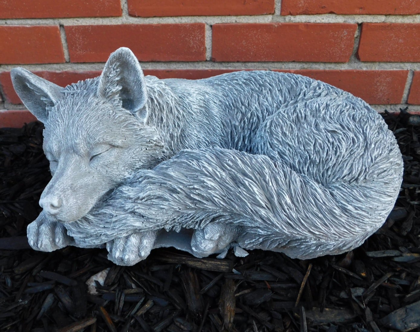 Large Curled Fox