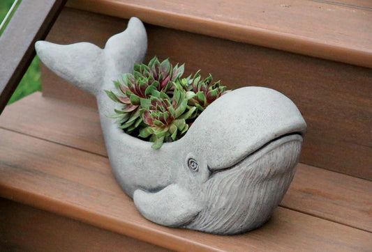 Kilo The Whale Planter